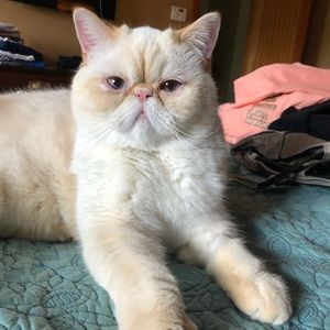 Meet your Posher, Amy